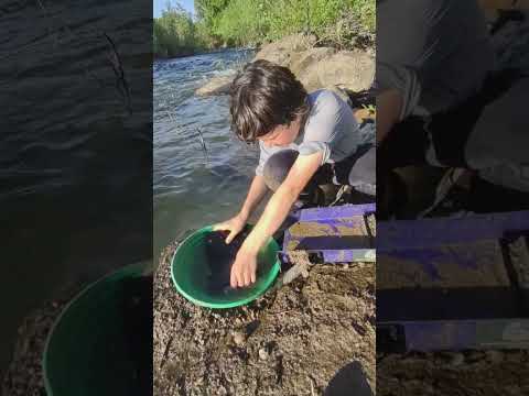 Flood Gold with the high banker #shorts #goldprospecting
