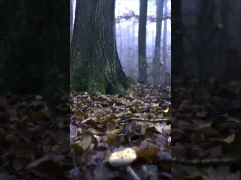 detailed vedio here https://youtube.com/@youtube.comvibeszone?si=hQ-1u8uFGDGhrs7T