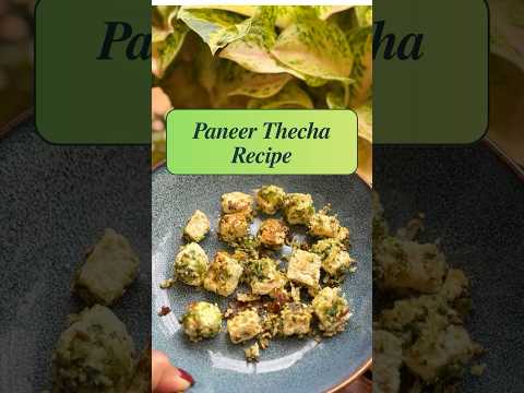Paneer Thecha Recipe that is breaking the Internet !#healthyfood #paneer #highprotein