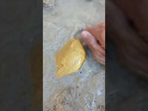 wow looking for big and beautiful gold #goldhunter #goldfinds