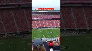 Georgia Bulldogs Go Dawgs 👉🔊 #georgia #bulldogs #collegefootball #godawgs #shorts