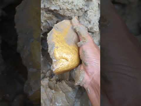 river from an ancient gold mine #goldhunter #minergold
