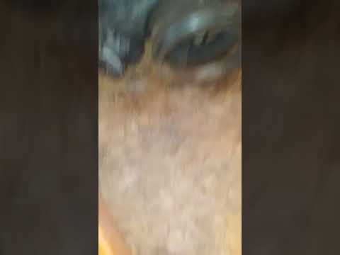 jeep liberty- suprise inside engine
