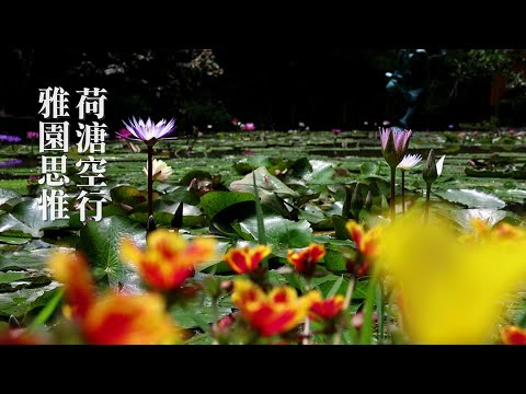 李光裕東方的沉思者『思惟』台中後花園永久典藏＃4K