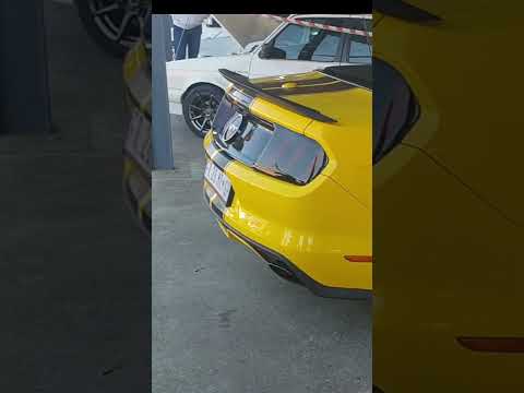 Ford Mustang showing us the roar of a modern V8 #v8 #mustang #ford #car #musclecars