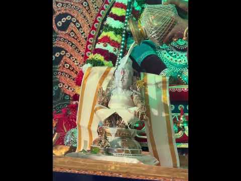#ayyappa #ayyappaswamy  #padipooja 🙏🏼 #ytvideo  #shortsvideo