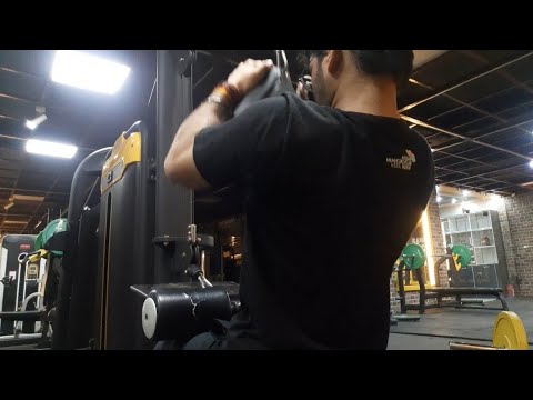 Day - 7 Back | Best back workout for strength & muscle growth