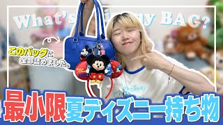 [Summer Disney] Make sure you take these things with you!!!
