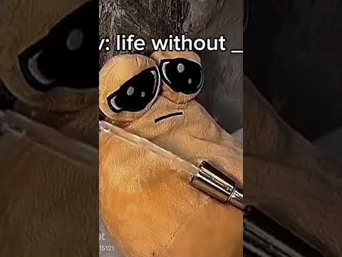 Life froh a Boy