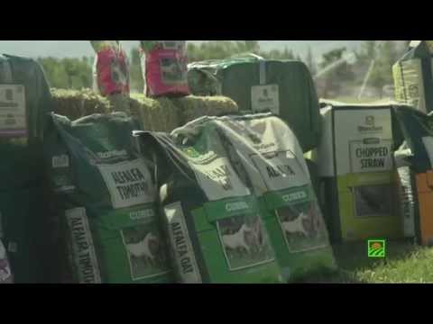 Standlee Premium Western Forage® Product Overview & Feeding Instructions