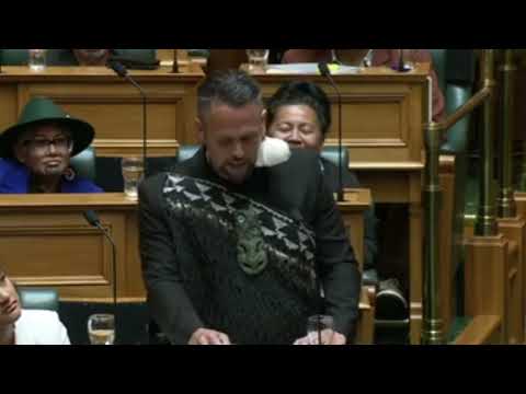 Address in Reply Debate -takuta ferris toitu te tiriti