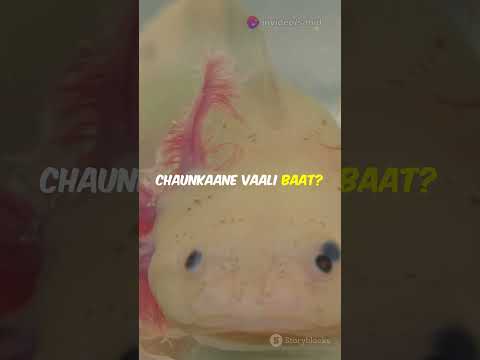 The Animal That Can Regrow Its Brain – Meet the Axolotl! | #shorts #sea #trending