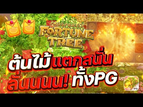 สล็อตเว็บตรง Prosperity Fortune Tree PG l สล็อตต้นไม้ ต้นไม้แตกสนั่น ลั่นน! ทั้งPG