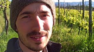 DBGitalia visits Thomas Niedermayr in San Michele Appiano, May'19