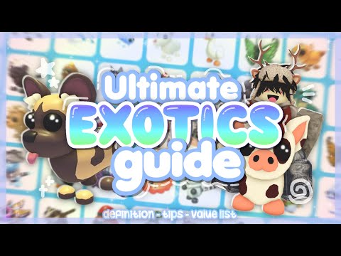 The ULTIMATE *EXOTICS* GUIDE in ADOPT ME! 🤩