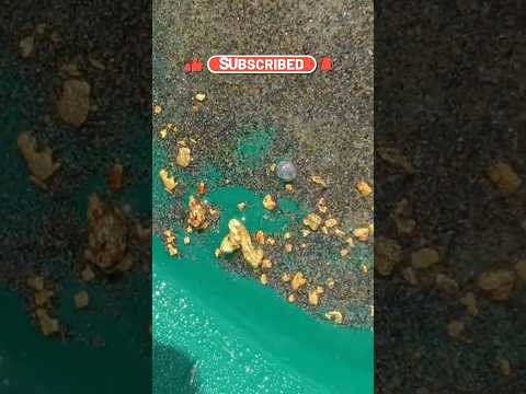 #Short - Goldibox Dredging in NC Clay Layer