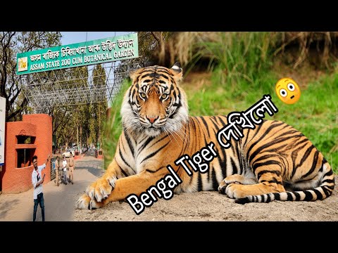 GUWAHATI ZOO | The Assam State Zoo | Bengal Tiger দেখিলো 😳 | Kalyan Konwar