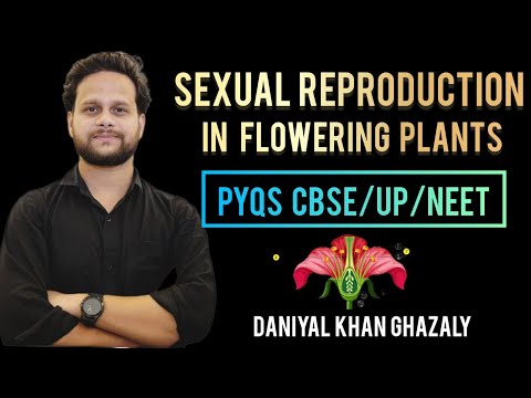 Sexual Reproduction in Flowering Plants Top PYQs NEET 2026/CBSE/LT grade Bio by Daniyal Khan Ghazaly