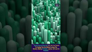 AI Just Got Lighter: Meet the New Super-Efficient Networks #shorts