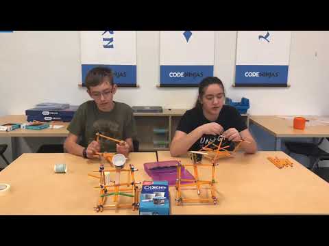 STEM Time with Sophie and Gage: Catapults!
