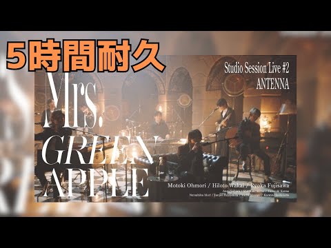 【5時間耐久】Mrs. GREEN APPLE - 02. ANTENNA from Studio Session Live #2 作業用BGM #mrsgreenapple #antenna