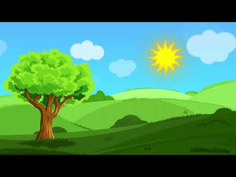 1 Hour Music Box Melodies for Baby Bedtime Lullaby / Baby Sleep Music I Relax and Sleepy