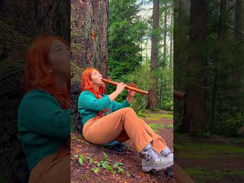 Relaxing Native American Style Flute #shorts