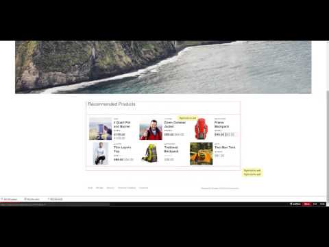 Changing Fonts in Cart Designer