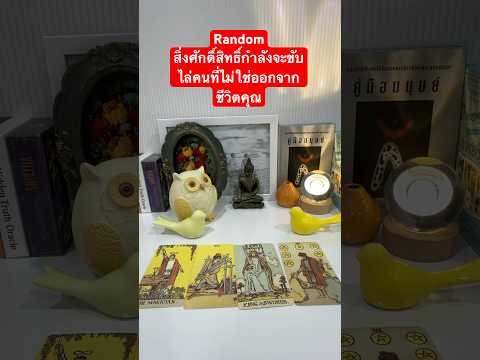 #tarot #pickadeck #fortunetelling #ดวง #ไพ่ทาโรต์ #สิ่งศักดิ์สิทธิ์ #ไพ่ความรัก #ไพ่ความรัก #เปิดดวง