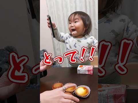 《1歳7ヶ月》年の差姉弟　お姉ちゃんありがとう#日常#成長#子供#1歳児 #shortvideo#癒し#癒し#あかちゃんのいる生活#ショート#育児#short#shorts#赤ちゃん#親子#成長記録