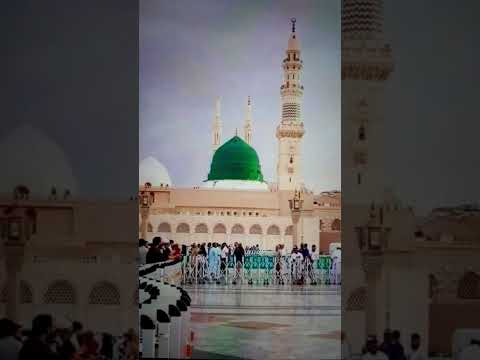 Jashn e Amad e Rasool - Farhan Ali Qadri #islam #freepalestine #shorts #youtubeshorts #shortvideo