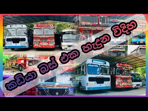කඩියා ආවෙ මෙන්න මෙහෙමයි ❤️❤️#automobile #bus 