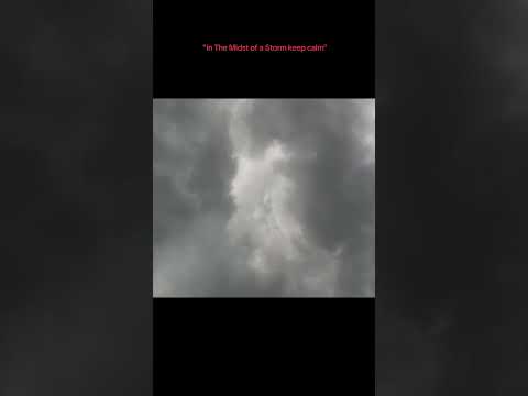 Chicago favorite mix breed goes viral with dance! #fyp #youtubeshorts #kitten #storm #viral #remix
