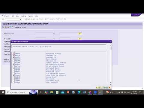 customize selection screen parameters in data dictionary