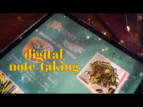 [ASMR]  Aesthetic Digital Note Taking | Paperlike Writing Sounds | Samsung Tab S7 | Samsung Notes