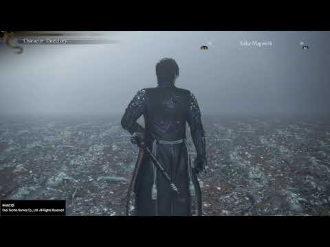 Nioh 2 Character Model Saika Magoichi