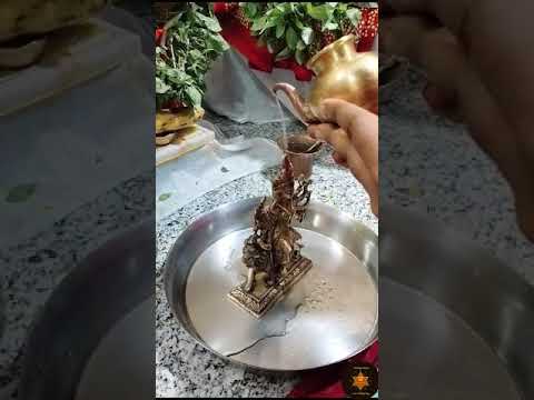 नवदुर्गा पाठ व हवन