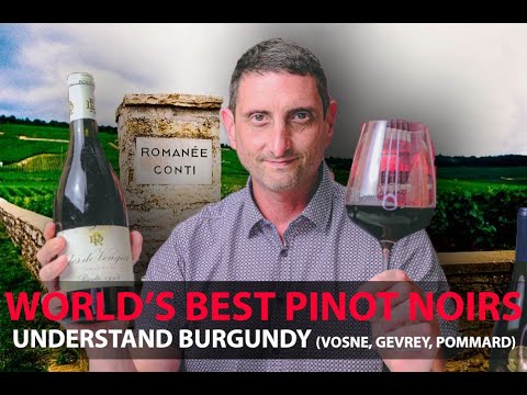 Finest Burgundy Wines | Your Guide to Top Pinot Noirs | Vosne-Romanée, Pommard, Gevrey-Chambertin...