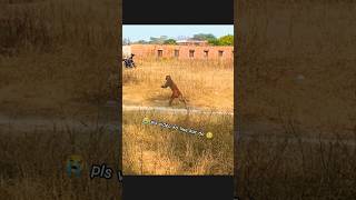 #jaishreeram #hanumanji #sadstatus #bhojpuri #zindagi #jaisinghvlogger