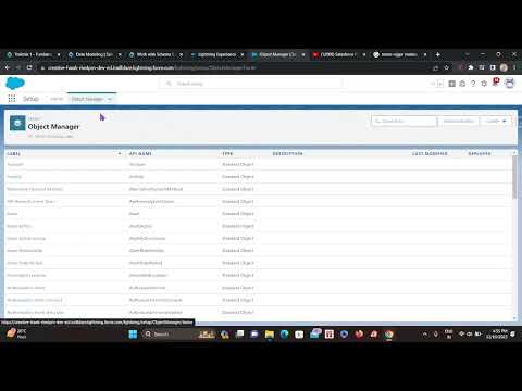 Work with Schema Builder | Data Modeling | Trailmix 1 - Fundamentals of Salesforce
