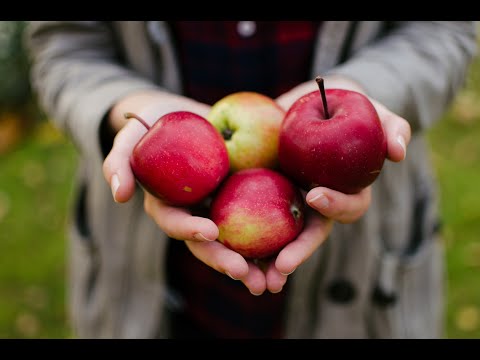Windfall | Profits and Taxes | English Lesson